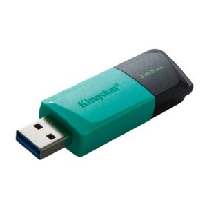 KINGSTON 256GB USB 3.2 Gen 1 DataTr